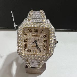 Iced Out VVS Moissanite Diamond Cartier Bust Down Luxury Watch (Pass Diamond Tester)